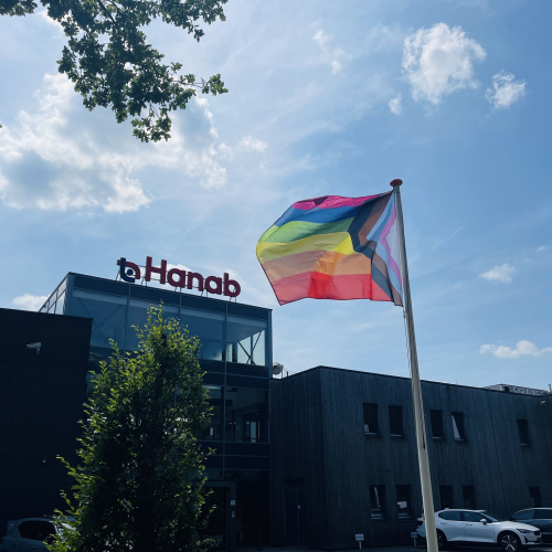 Pride vlag in Lieren