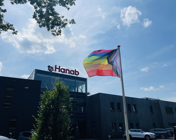 Pride vlag in Lieren