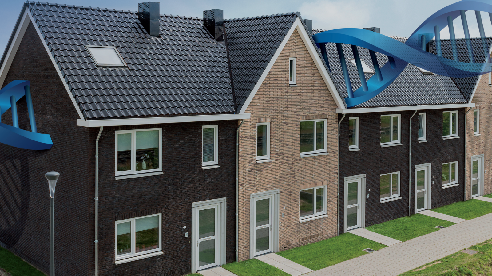1905x1070 morgenwonen 2.png