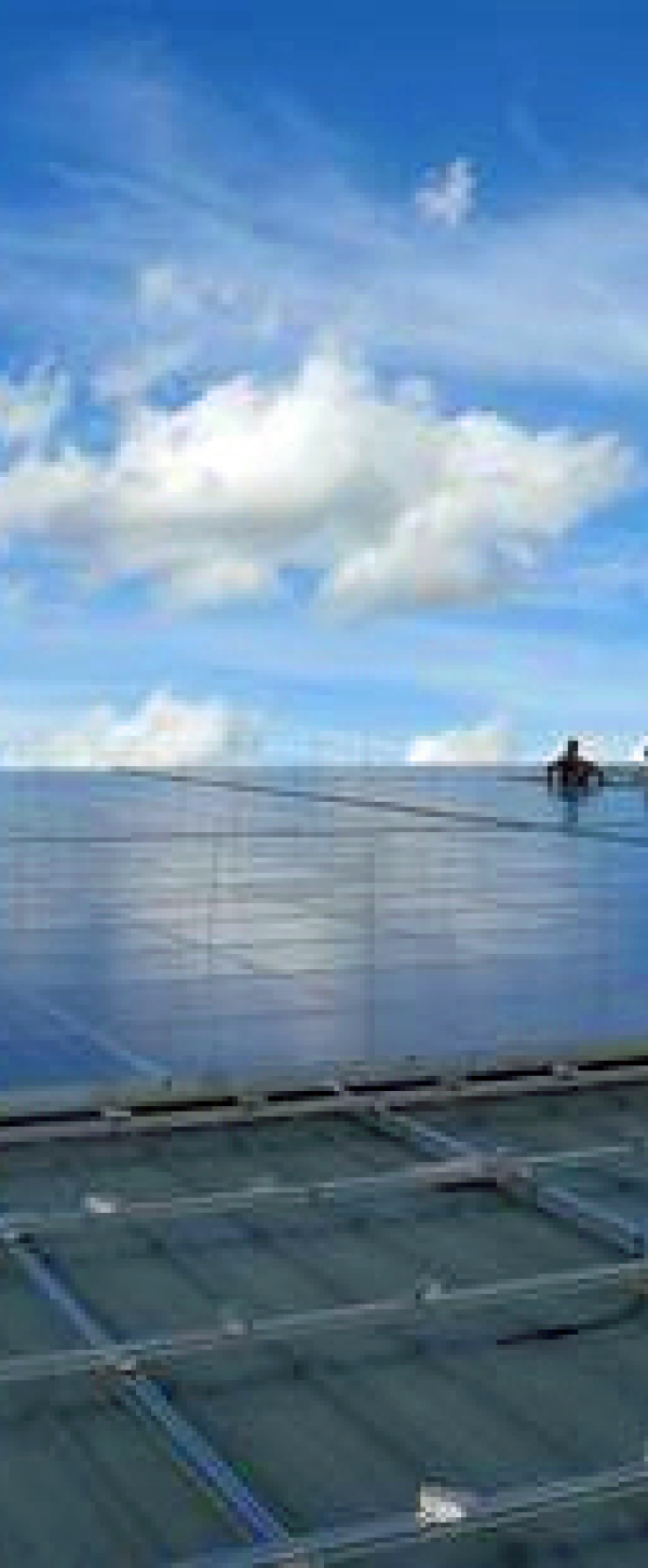 velt-vecht-zonnepanelen-pv-panelen-plaatsen.jpg