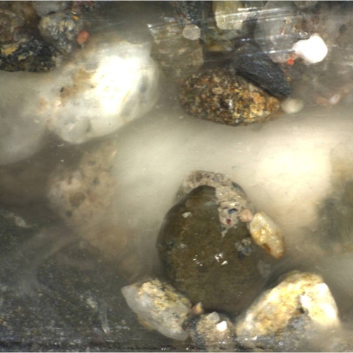 video - biogrout.jpg
