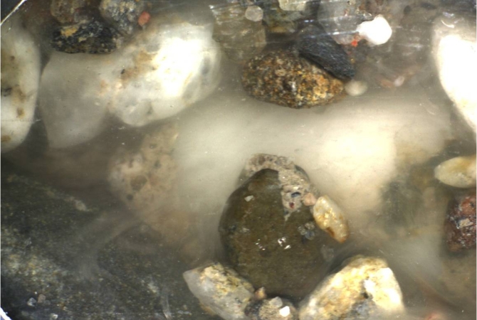 video - biogrout.jpg