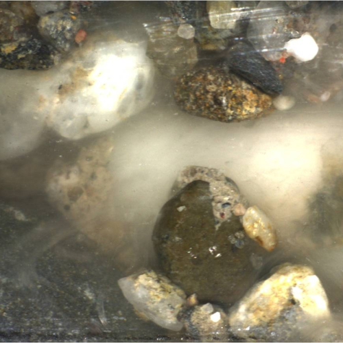 video - biogrout.jpg