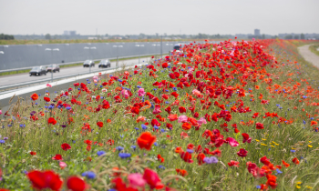 A4 Honey Highway - mei 2016 - Jorgen Caris.jpg