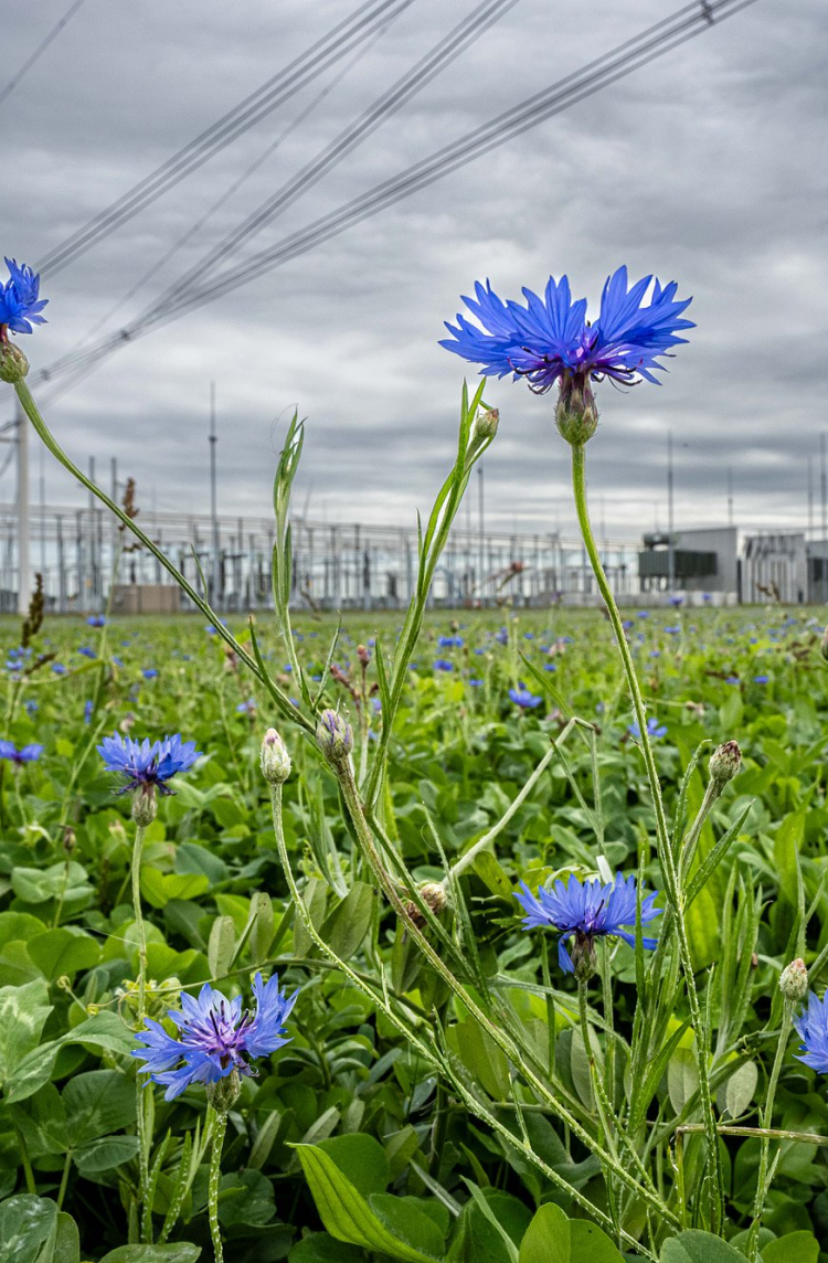 station met bloemen