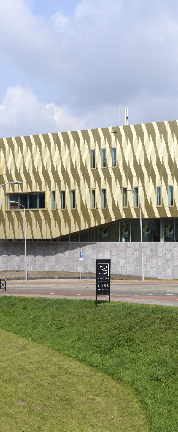 Zinder Westluidense Poort Tiel 0445.jpg
