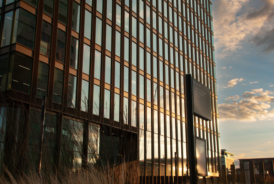 Central park bij zonsopkomst