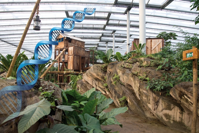 WILDLANDS - Ons DNA in elk gebouw - youtube.jpg