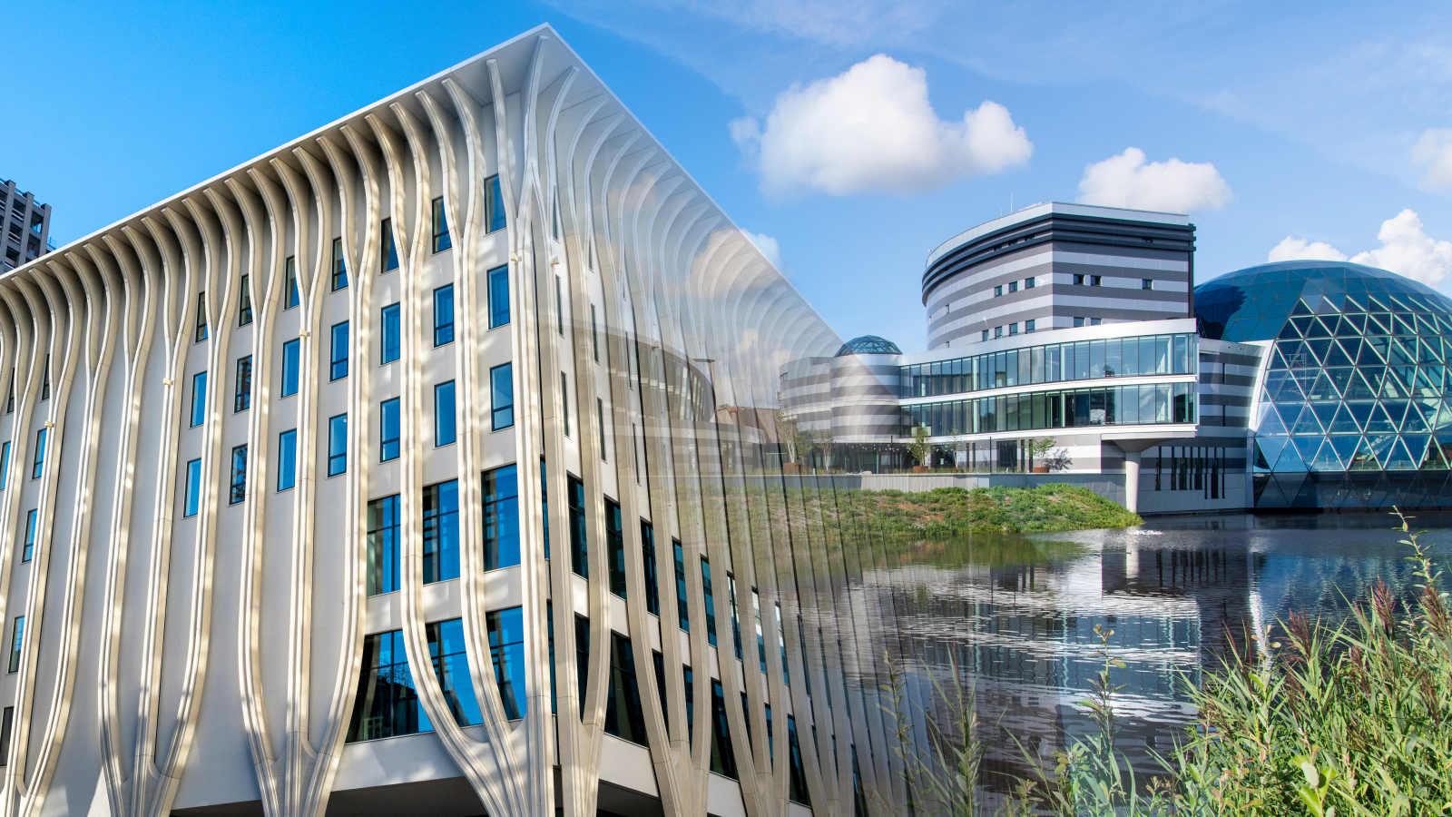 Amare Den Haag en AFAS Leusden