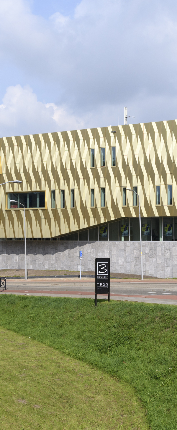 Zinder Westluidense Poort Tiel 0445.jpg