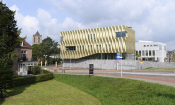 Zinder Westluidense Poort Tiel 0445.jpg