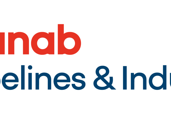 Hanab P&I logo