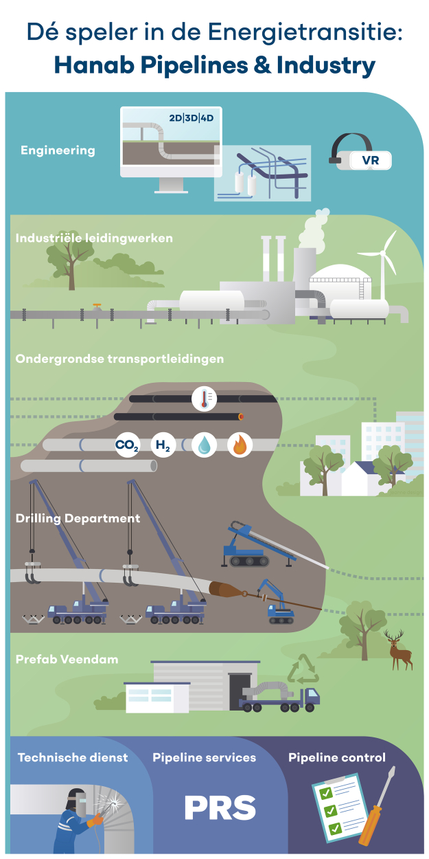 infographic P&I