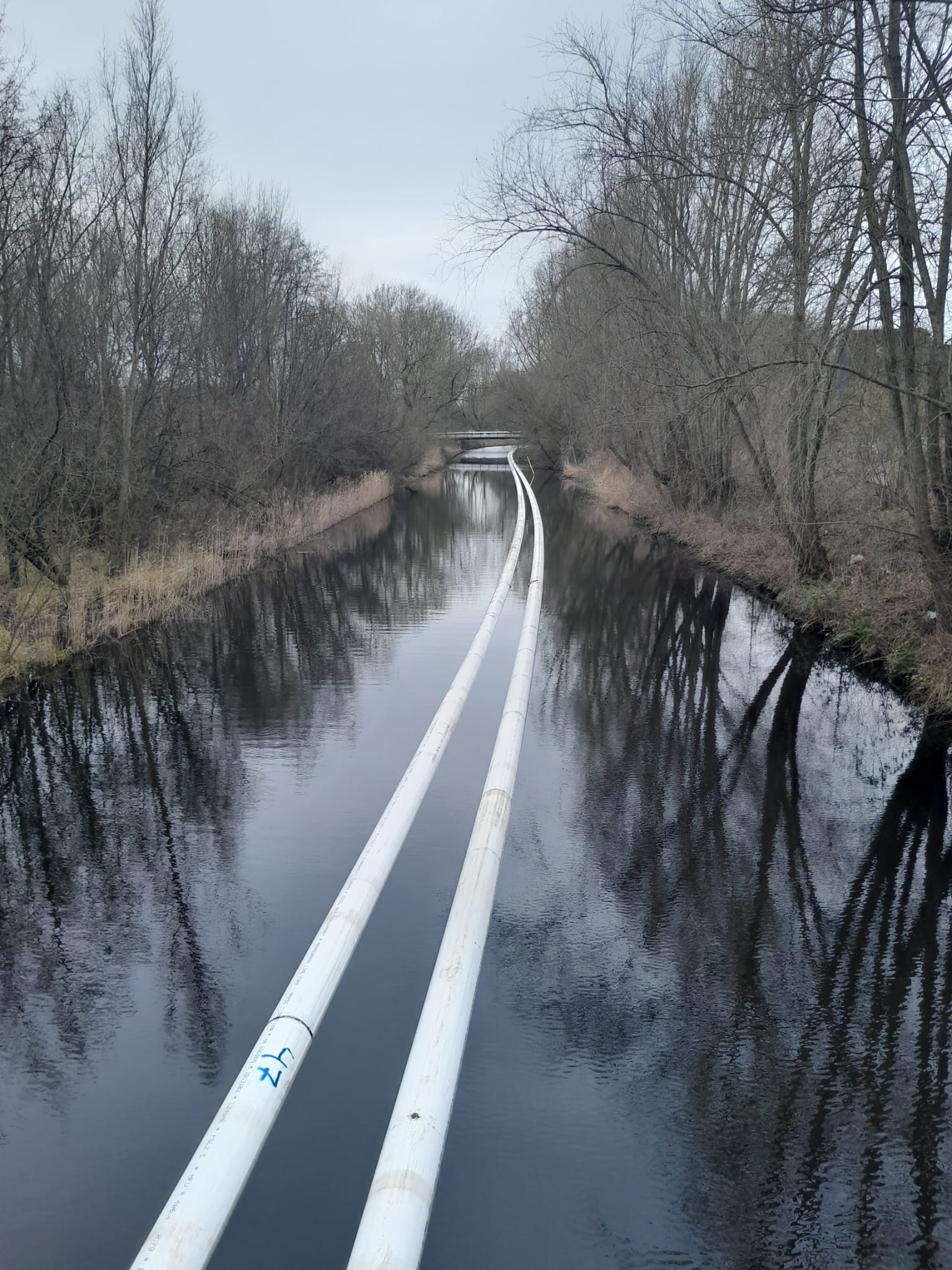 content (2).jpg