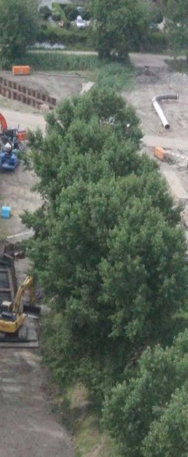 Luchtfoto Molenslootpad.jpg