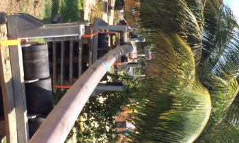 suriname gedraaid.jpg