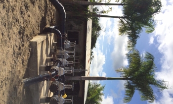 suriname2015 gedraaid.jpg