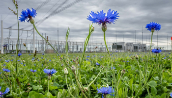 Veld met wilde bloemen voor een energiecentrale