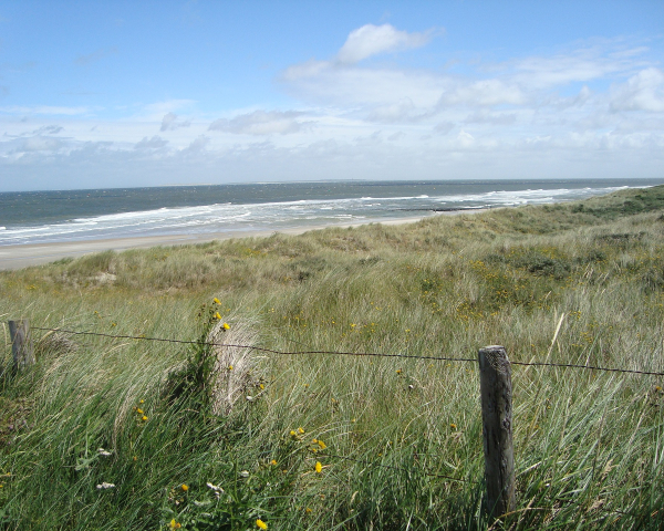 vlieland-1585949_1920.jpg