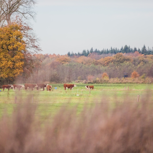© Marina Kemp - VWT Raalte 007.jpg