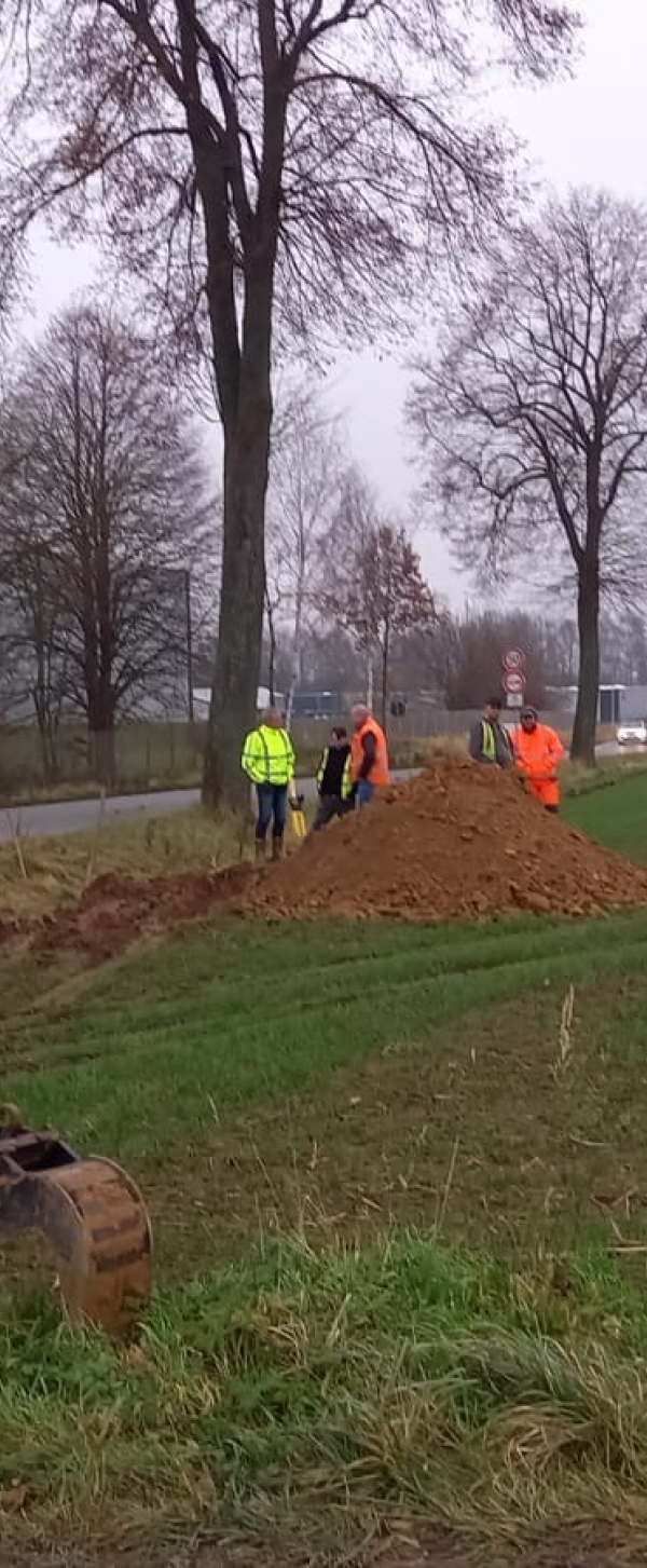 DU5.jpg