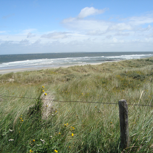 vlieland-1585949_1920.jpg